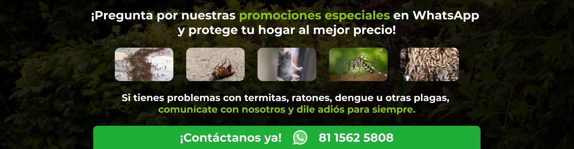 Banner Promociones Bio Control